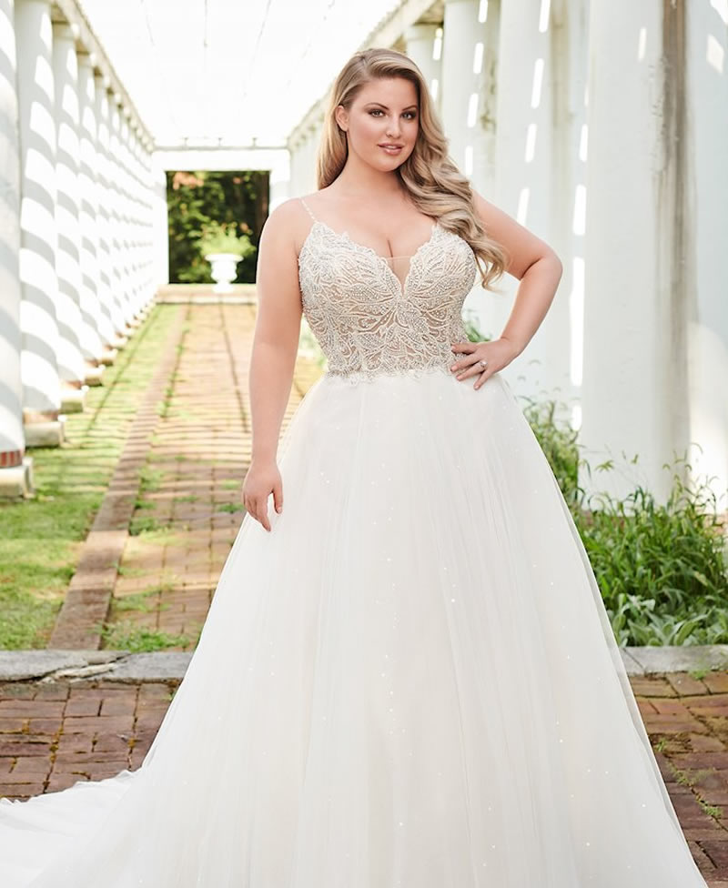 Venus Plus Size